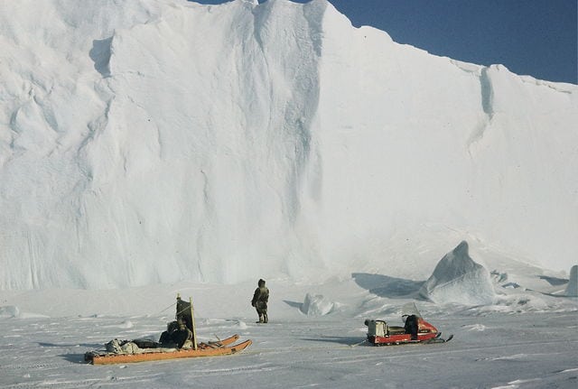 Who is Wild Bill and Why is He Running?