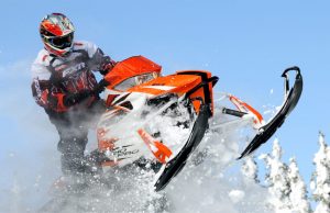 Cat Revisions 2013 – Scratching Below the Surface