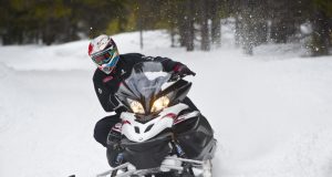 Testosterone 150 – 2013 Yamaha Apex SE