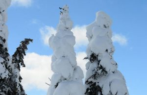 Yellowstone Winter Use Plan Inked