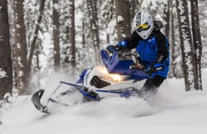 More Vipers…More Bite; 2015 Yamaha OSM Exclusive