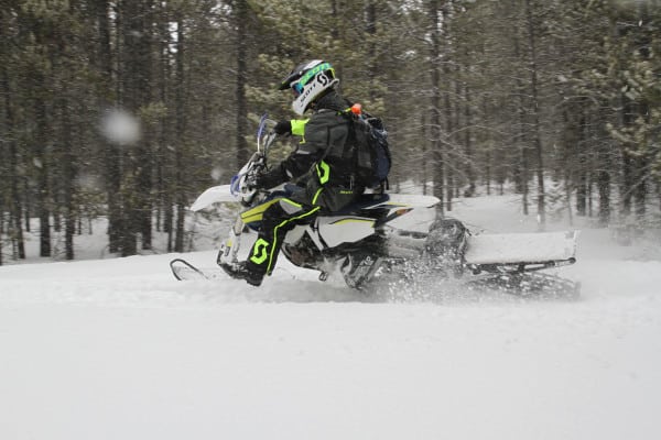 POLARIS PARTNERS WITH AMA TO GAIN MORE EXPOSURE FOR GROWING TIMBERSLED BRAND