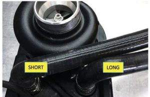 Will You Be At Princeton?