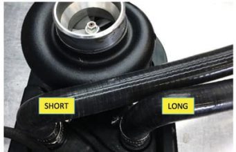 Will You Be At Princeton?