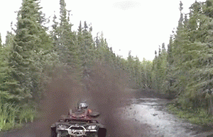 Just in Time for Christmas…Arctic Cat Boys and Girls T-Shirts