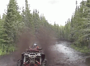 Just in Time for Christmas…Arctic Cat Boys and Girls T-Shirts