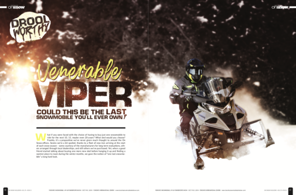 VENERABLE VIPER – COULD THIS BE THE LAST SNOWMOBILE YOU’LL EVER OWN?