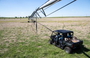 SLED PATRIOTS LOOK TO PRESIDENT TRUMP FOR EXECUTIVE ORDER TO SLED THE BURN