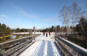 2020 ARCTIC CAT LESS IS MORE LINEUP GOES ON A DIET, ENTER THE RIOT