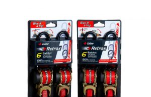 Cat Gets it Just Right!