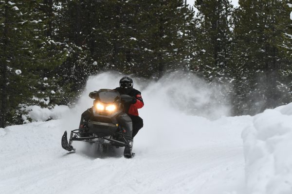 Let Them Eat! Mach Z, Thundercat, SRX are the pinnacle of hypersleds.