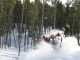 Battle Ground 146! Trails to trees, 4 sleds for total confidence in all conditions