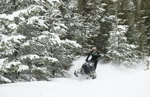 EIGHT-FIDDY-EIGHT BRAH!