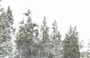 On Snow Feature Of The Week: The Arctic Cat ZR 600 Catalyst