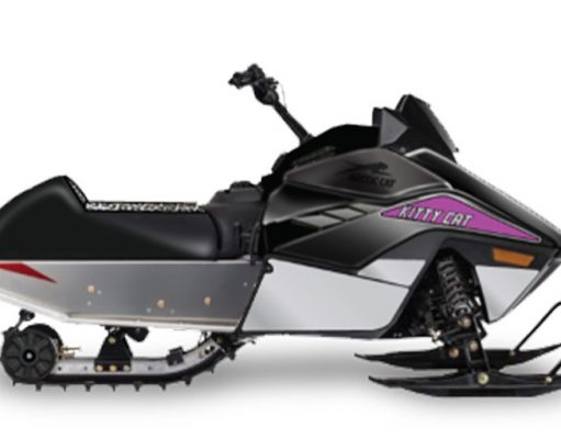 If You Want One, Don’t Wait