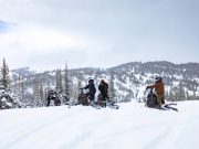 Arctic Cat Shows No Signs of Slowing Down with Widescape Acquisition