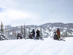 Arctic Cat Shows No Signs of Slowing Down with Widescape Acquisition