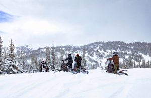 Arctic Cat Shows No Signs of Slowing Down with Widescape Acquisition