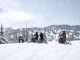 Arctic Cat Shows No Signs of Slowing Down with Widescape Acquisition